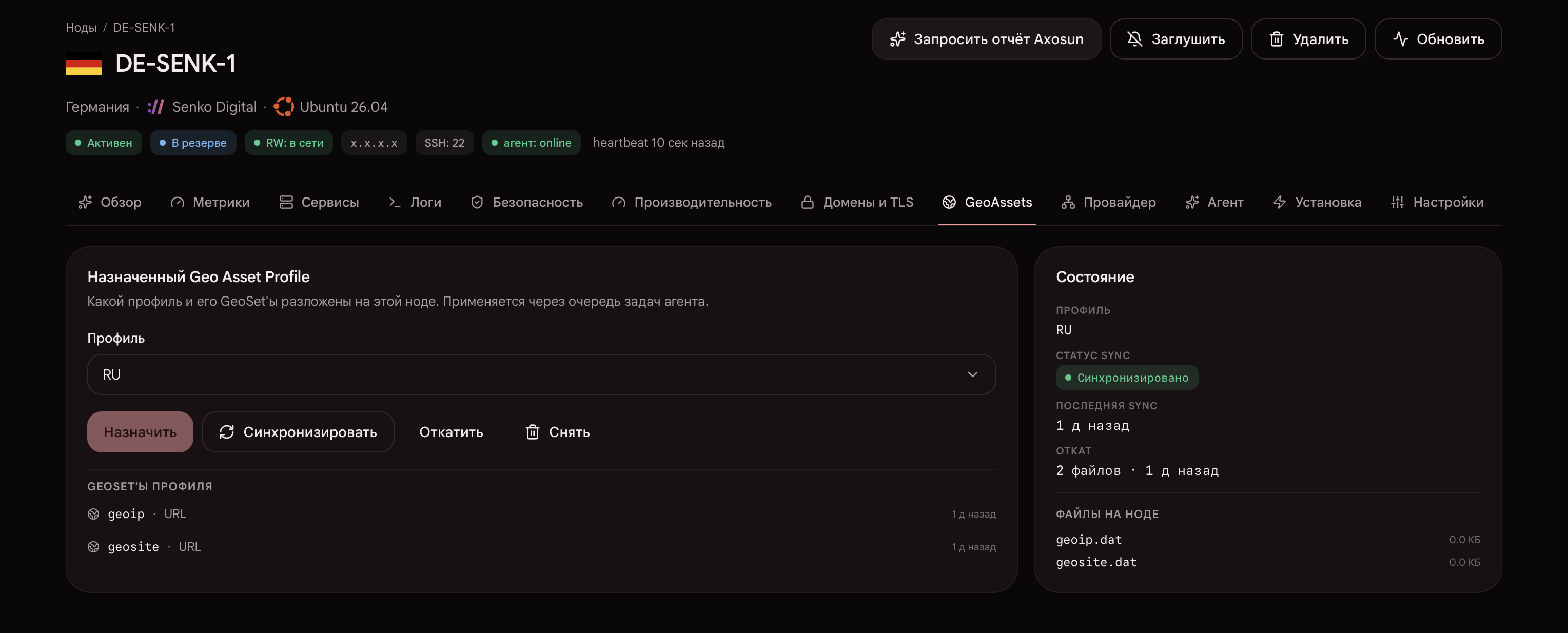 Управление GeoAssets для отдельной ноды Axottle
